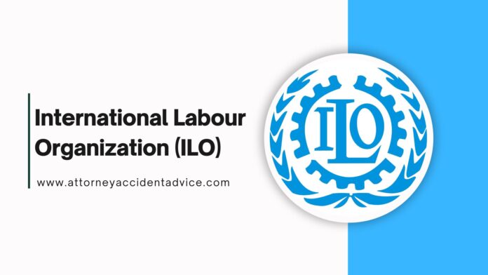 International Labour Organization