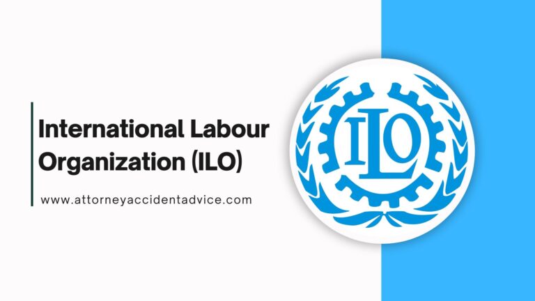 International Labour Organization