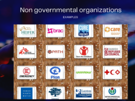 Non governmental organizations