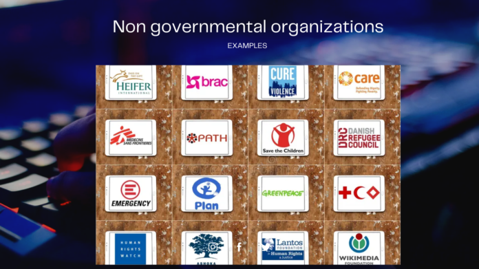 Non governmental organizations